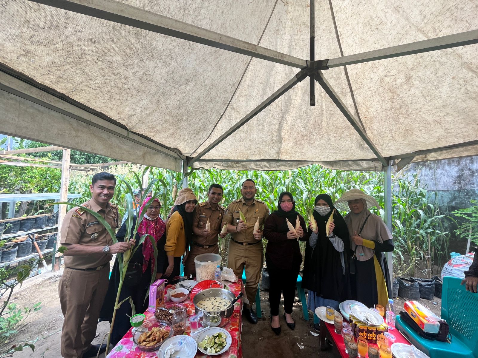 Gambar Kebun Di Tengah Kota, Camat Panakkukang Bersama Aura Panen Jagung