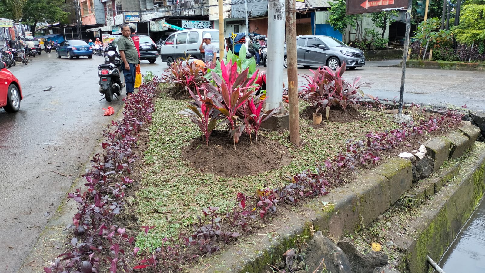 Gambar Pembenahan Taman Di Toddopuli Raya Timur, Ini Yang Dilakukan Camat Panakkukang